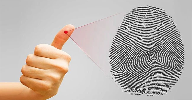 Dấu tay: Đặc điểm và ứng dụng trong bảo mật