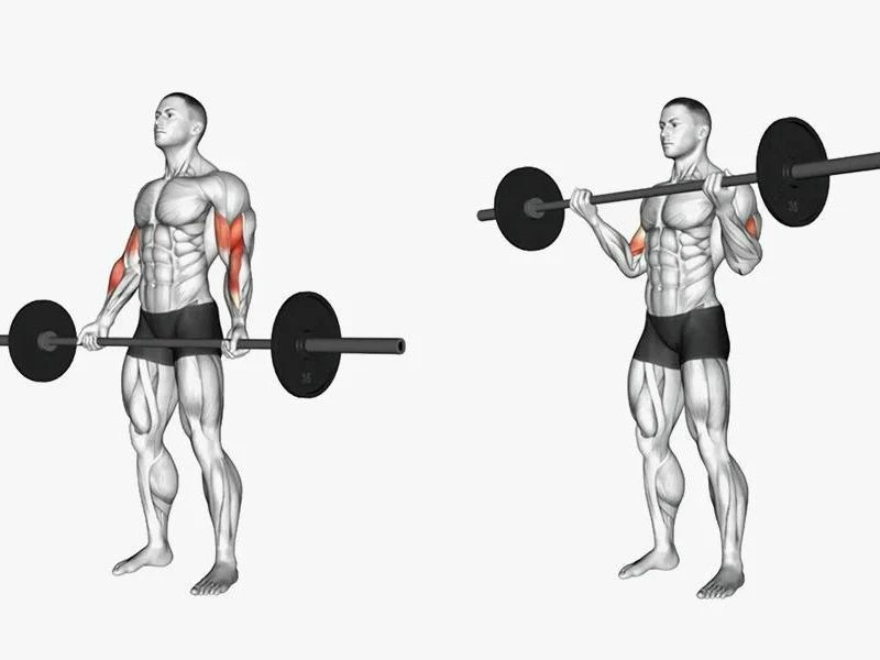 9 Bài tập cơ cẳng tay hiệu quả nhất cho nam