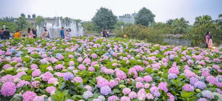 Top 24 vườn hoa Đà Lạt đẹp mê ly được du khách helo88.vina nhất 2024