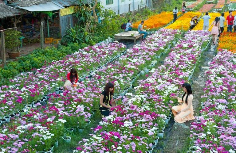 Top 24 vườn hoa Đà Lạt đẹp mê ly được du khách helo88.vina nhất 2024