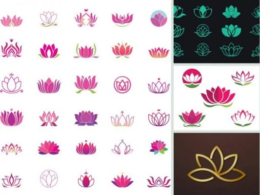 Thiết Kế Logo Hoa Sen Cac Mẫu Logo đẹp Nhất Now Academy