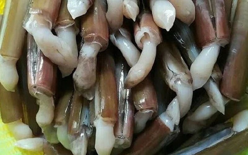 Cách chọn mua, bảo quản, cách làm ốc móng tay sạch cát nhanh 22helo88