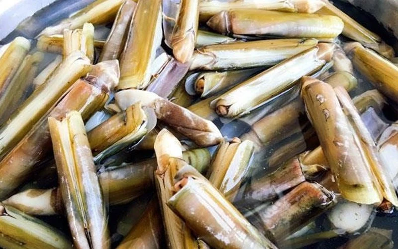 Cách chọn mua, bảo quản, cách làm ốc móng tay sạch cát nhanh 22helo88