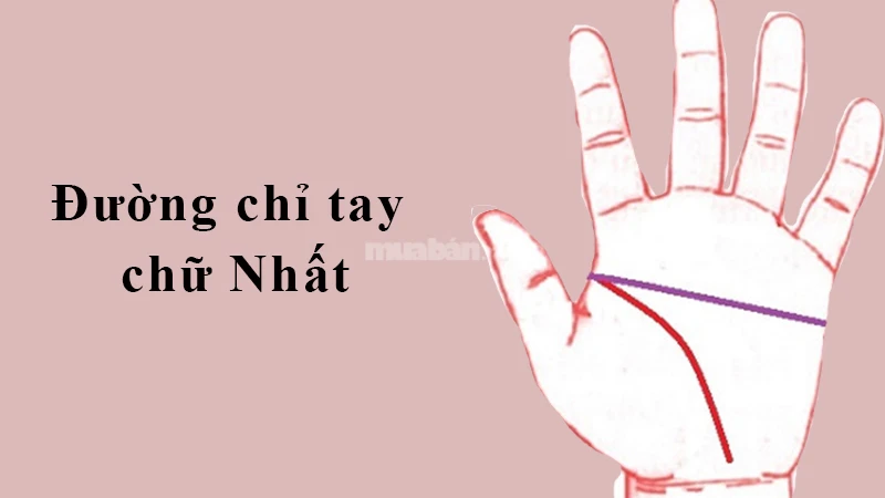 Ý nghĩa 4 đường chỉ tay hiếm gặp chỉ có ở người định sẵn số phú quý