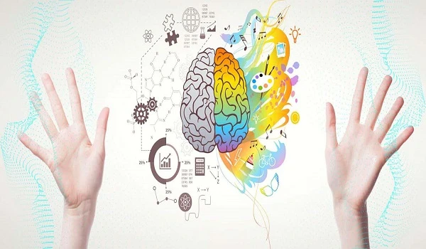 Các chủng vân tay chính và ý nghĩa đặc trưng của chúng
