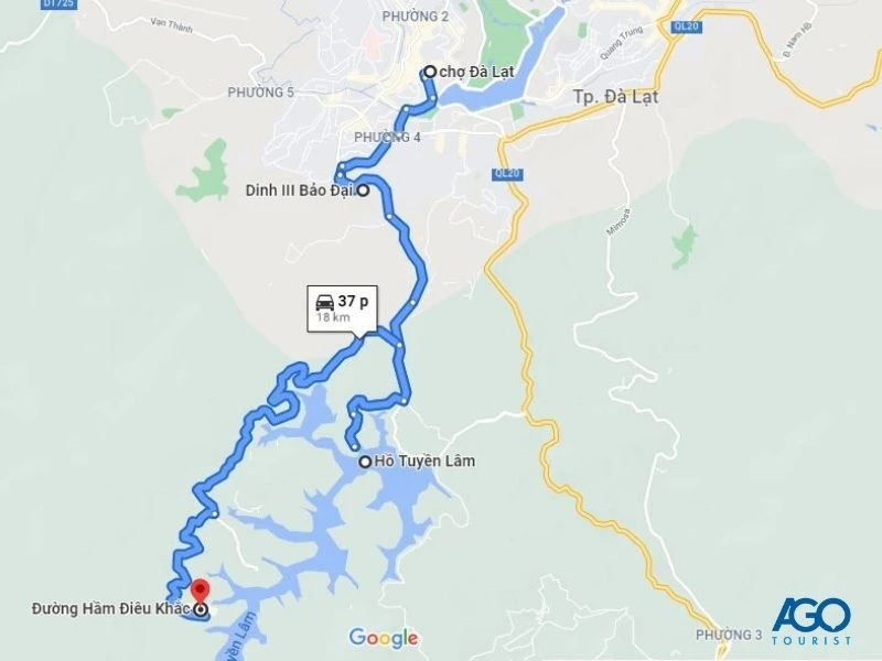 7 88hello88 ngắm hoa dã quỳ Đà Lạt đẹp nhất năm 2024