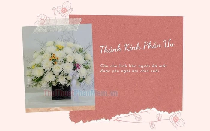 Ý nghĩa đặc biệt của đám tang lễ hoa sen đen tại heloo88