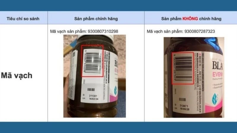 88hello88 tinh dầu hoa anh thảo Blackmores mua ở đâu, có tốt không?