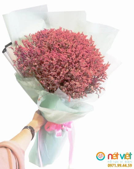 Hoa sao và những ý nghĩa đặc biệt của hoa sao tại Bình Dương