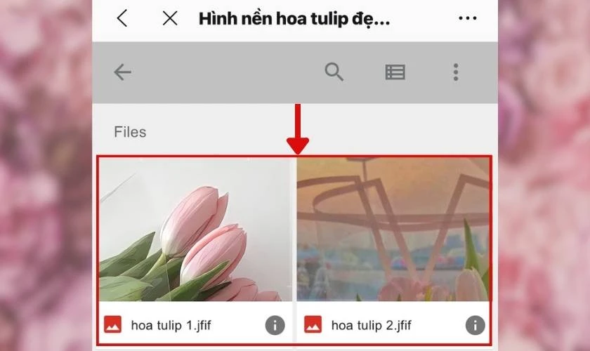 Top những hình nền hoa đẹp cho iPhone siêu lung linh