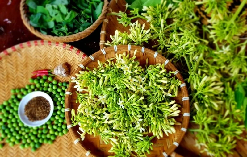 Cách sử dụng hoa đu đủ đực tươi giúp mang lại lợi ích cho helloo88