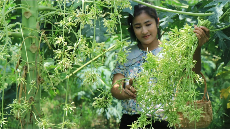 Cách sử dụng hoa đu đủ đực tươi giúp mang lại lợi ích cho helloo88
