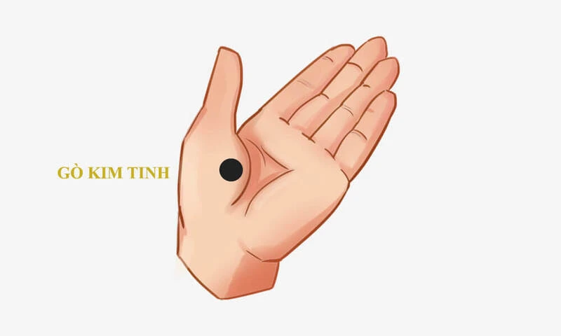 Những vị trí nốt ruồi trong lòng bàn tay mang lại may mắn