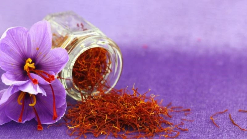 Cách sử dụng nhuỵ hoa nghệ tây Saffron đúng cách, hiệu quả