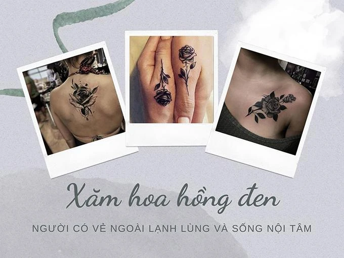 Ý nghĩa hoa hồng đen - loài hoa bí ẩn, hiếm có