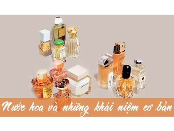 CÁC THÀNH PHẦN NƯỚC HOA LÀ GÌ, TẠI SAO NƯỚC HOA CÓ MÙI THƠM ĐẾN VẬY?