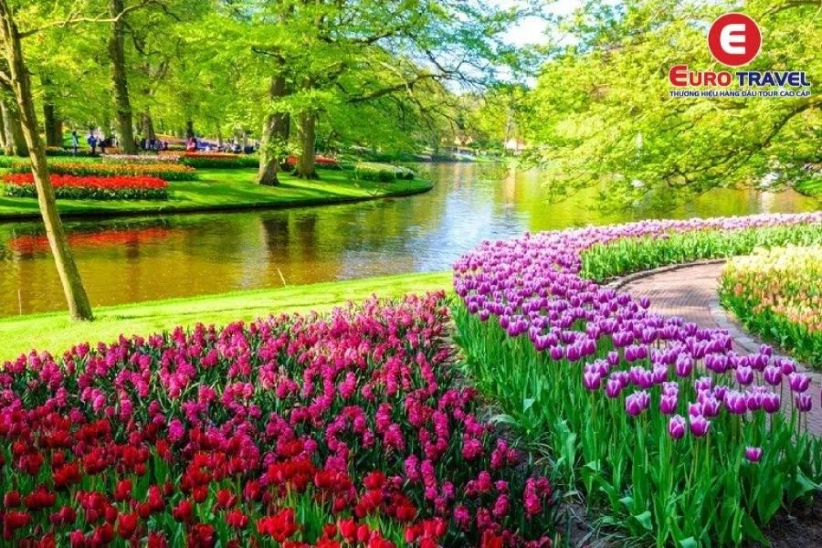 Đắm mình với hoa Tulip trong Vườn hoa Keukenhof Hà Lan
