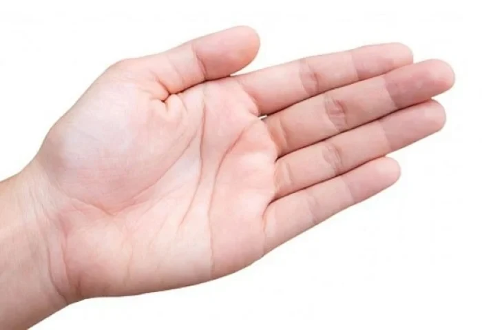 Xem tướng bàn tay của người phụ nữ lắm phúc, nhiều lộc, hậu vận đủ đầy