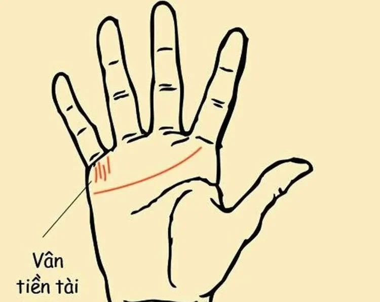 Xem tướng bàn tay của người phụ nữ lắm phúc, nhiều lộc, hậu vận đủ đầy