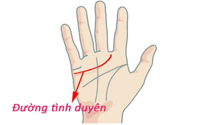 Xem tướng bàn tay của người phụ nữ lắm phúc, nhiều lộc, hậu vận đủ đầy