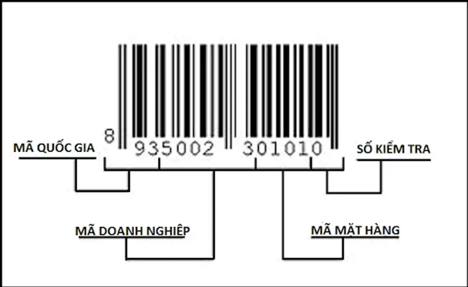 5 Cách phân biệt nước hoa chính hãng thật giả KHÔNG CẦN NGỬI