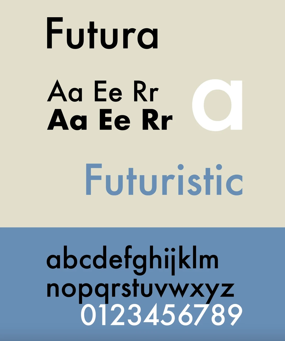 Top 10 Font Sans Serif - Phông Chữ Không Chân Đẹp Nhất 2024
