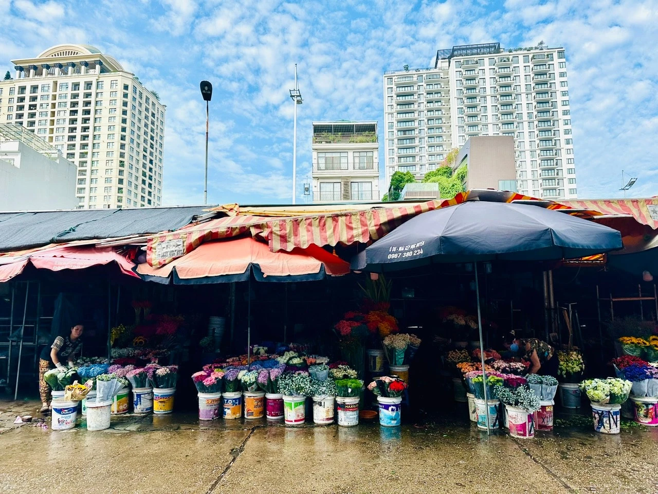 Để chợ hoa Quảng An thành điểm du lịch đêm 6hello88 của Hà Nội