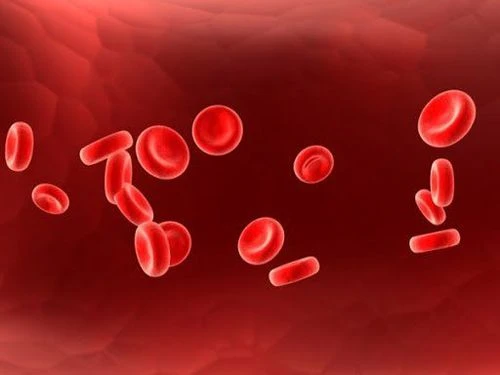 Bàn chân và bàn tay lạnh: Nguyên nhân, phải làm gì để hạn chế?