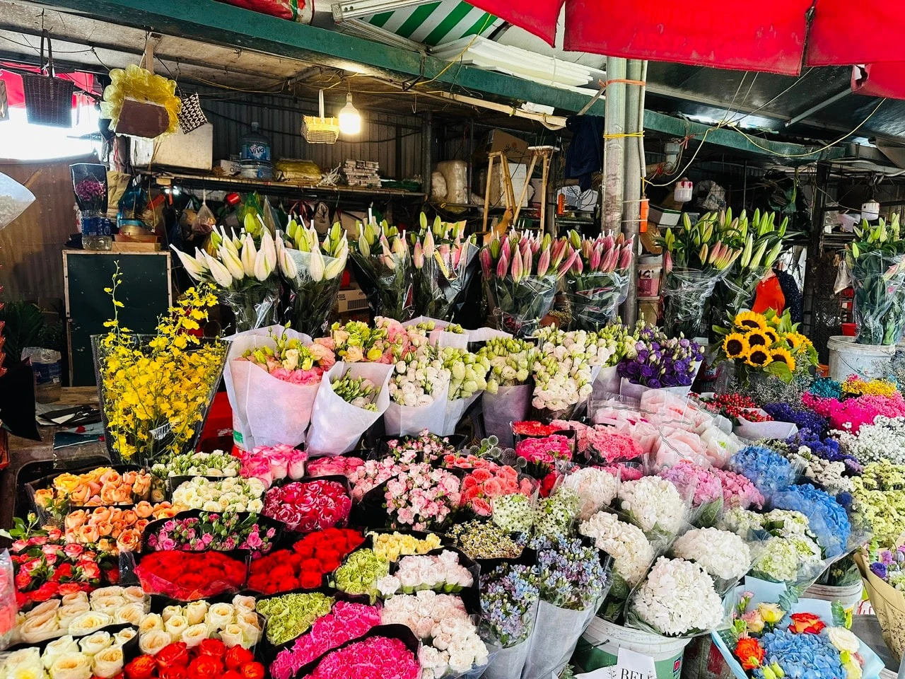Để chợ hoa Quảng An thành điểm du lịch đêm 6hello88 của Hà Nội