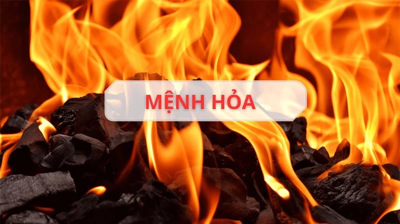 Mệnh Hỏa hợp cây gì? 20+ loại cây giúp mệnh Hỏa hút tài đón lộc