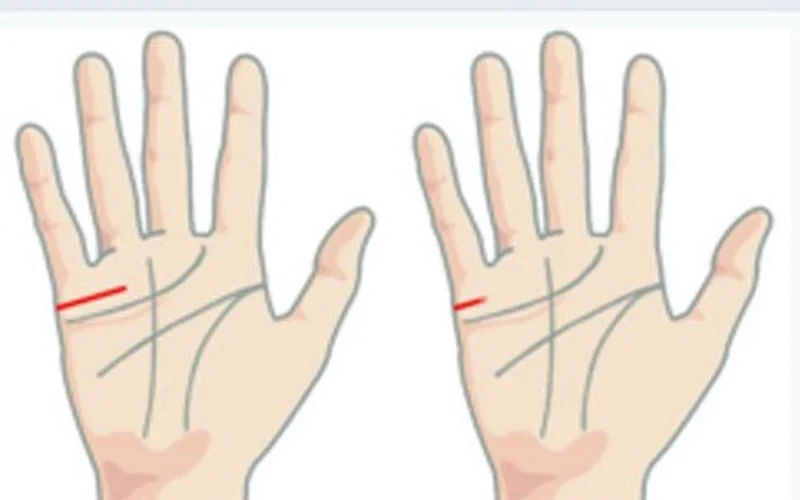 Xem đường chỉ tay, có điểm này biết ngay ai 2 lần
