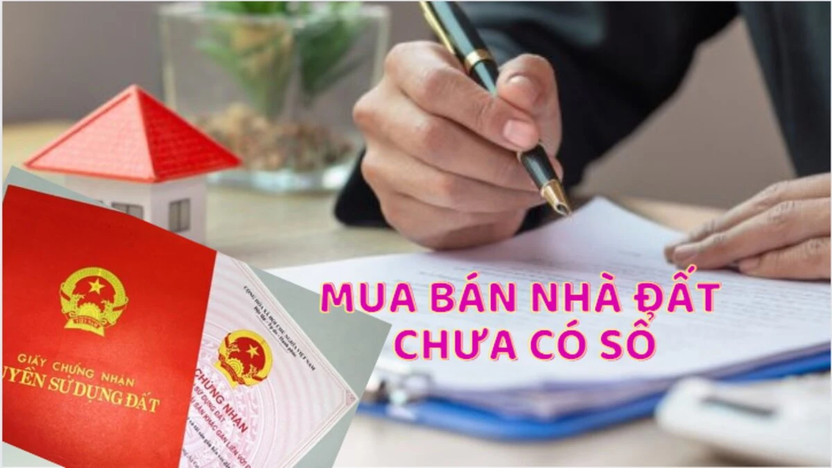 Hợp đồng mua bán đất không có sổ đỏ mới nhất hiện nay