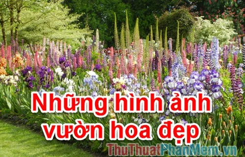 Lợi ích của việc sở hữu một vườn hoa helloo88