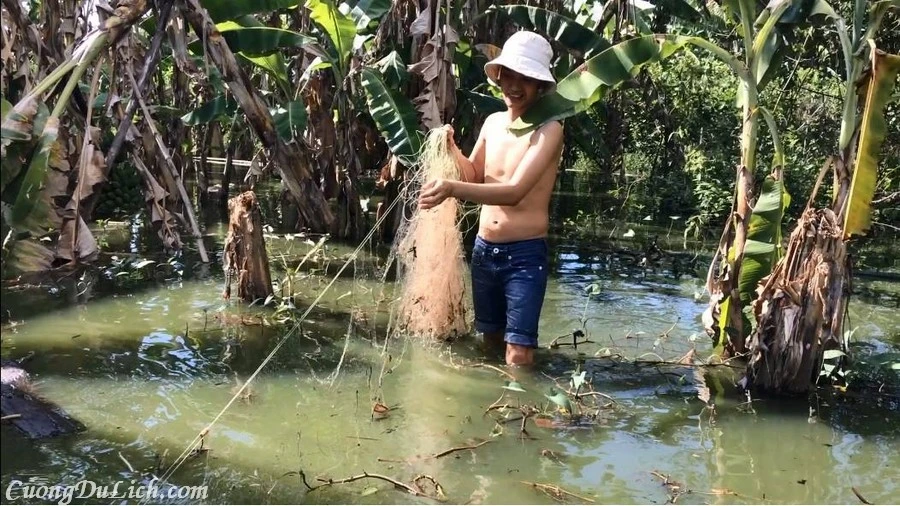 Mùa Nước Nổi Ở Miền Tây Là Gì ? Có Gì ? Mà Hấp Dẫn Đến Vậy