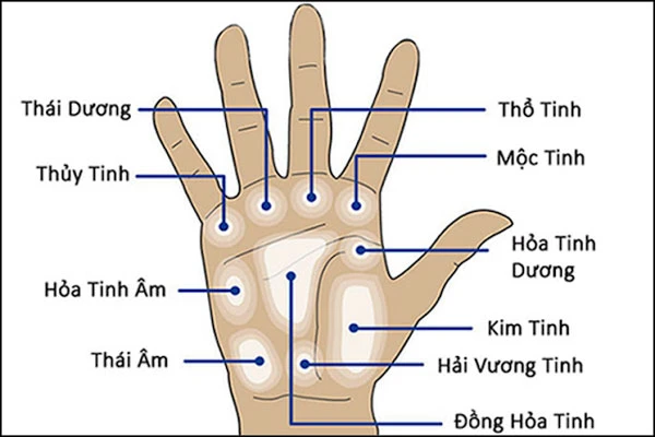Đường mộc tinh ở lòng bàn tay, chủ nhân có hồng phúc sâu dày, nhiều lộc