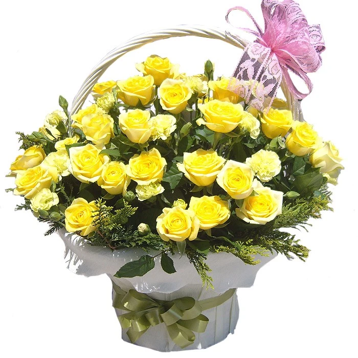 Bộ sưu tập hình ảnh hoa Hồng tuyệt vời nhất