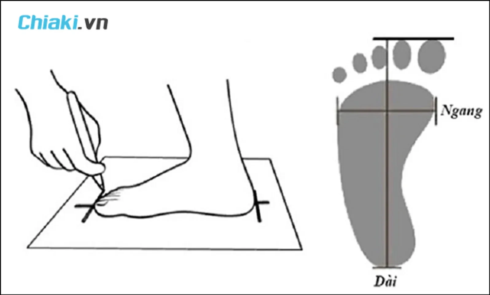 Bảng size giày Hàn quốc dành cho nam nữ, trẻ em chuẩn xác nhất