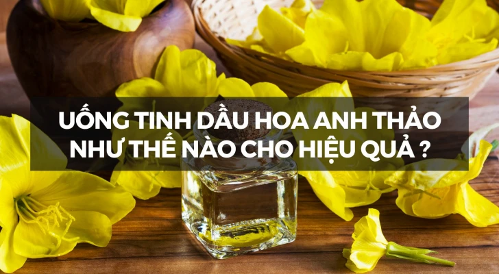 hello8862 com chị em uống tinh dầu hoa anh thảo đúng cách để mang lại hiệu quả tốt nhất