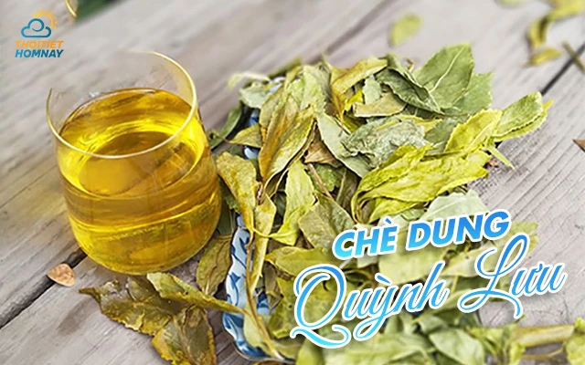 Thời tiết Quỳnh Lưu Nghệ An
