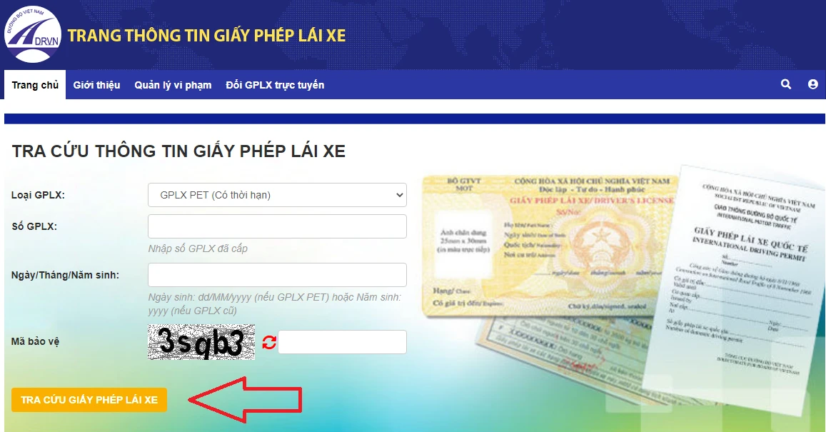 hello8862 com tra cứu giấy phép lái xe (bằng lái xe) online