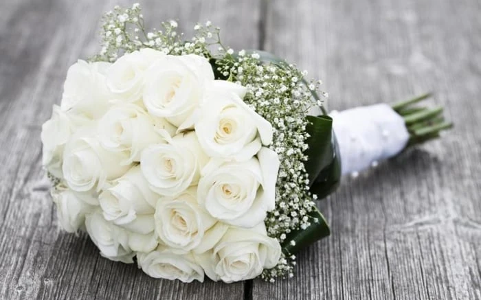 Bộ sưu tập hình ảnh hoa Hồng tuyệt vời nhất
