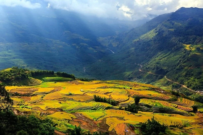 Thông tin giá vé thung lũng Mường Hoa mới nhất 2024