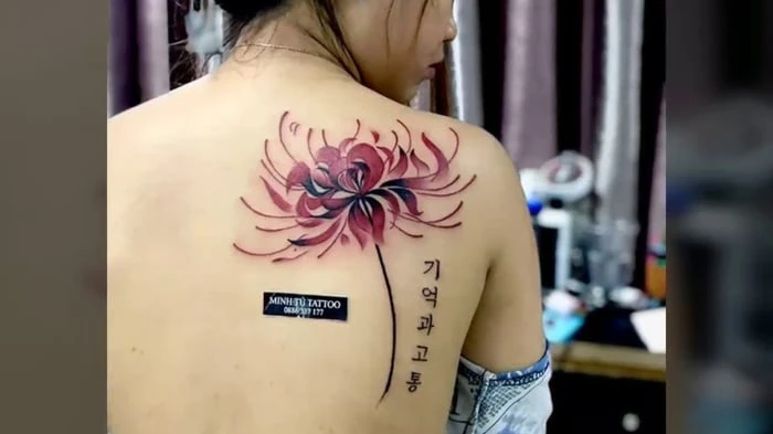 Khám Phá Hơn 50 Mẫu Hình Xăm Hoa Bỉ Ngạn Đẹp Nhất