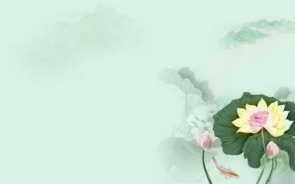 Bộ sưu tập 50+ hình nền Powerpoint hoa sen trang nhã đẹp nhất
