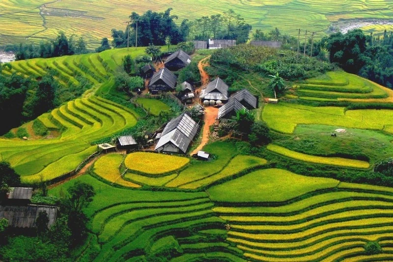 Thông tin giá vé thung lũng Mường Hoa mới nhất 2024