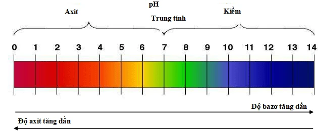 Tính chất hóa học của Bazơ