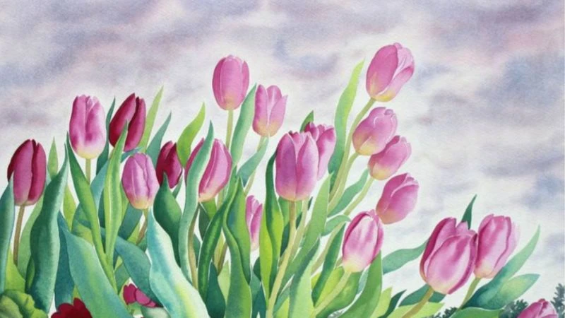 Vẽ hoa tulip ấn tượng nhất, mẫu tranh hoa tulip đẹp dễ vẽ