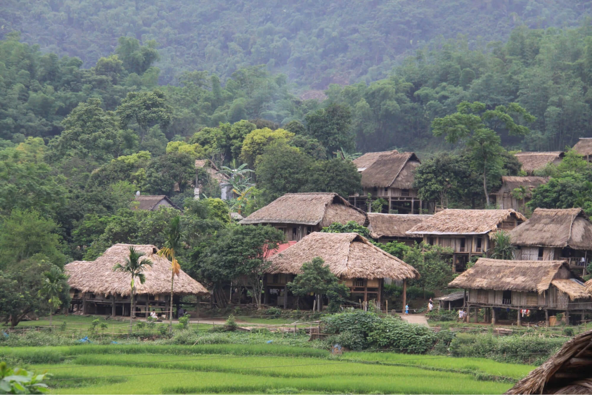 Khám phá Thung Nai Hòa Bình: Viên ngọc xanh giữa lòng sông Đà