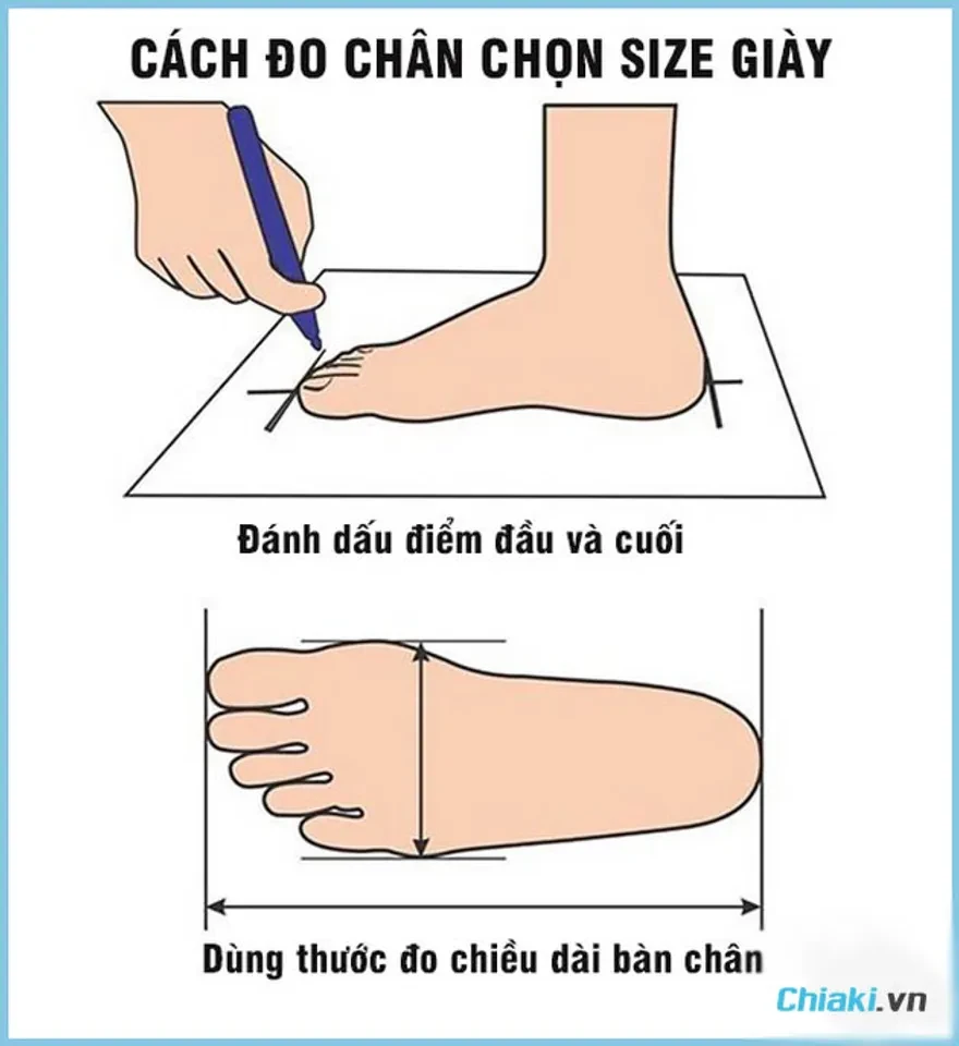 Bảng size giày, cách quy đổi size giày nam, nữ quốc tế và heloo88 2024