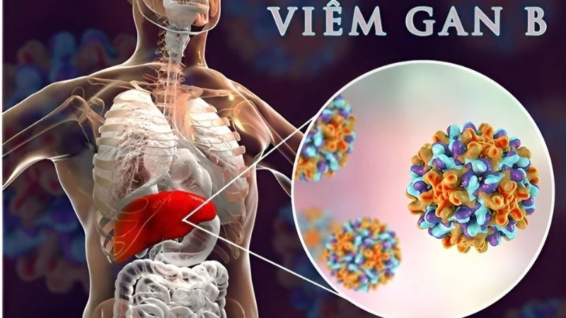 Trà hoa hòe có tác dụng gì? 10 công dụng của hoa hòe với helloo88
